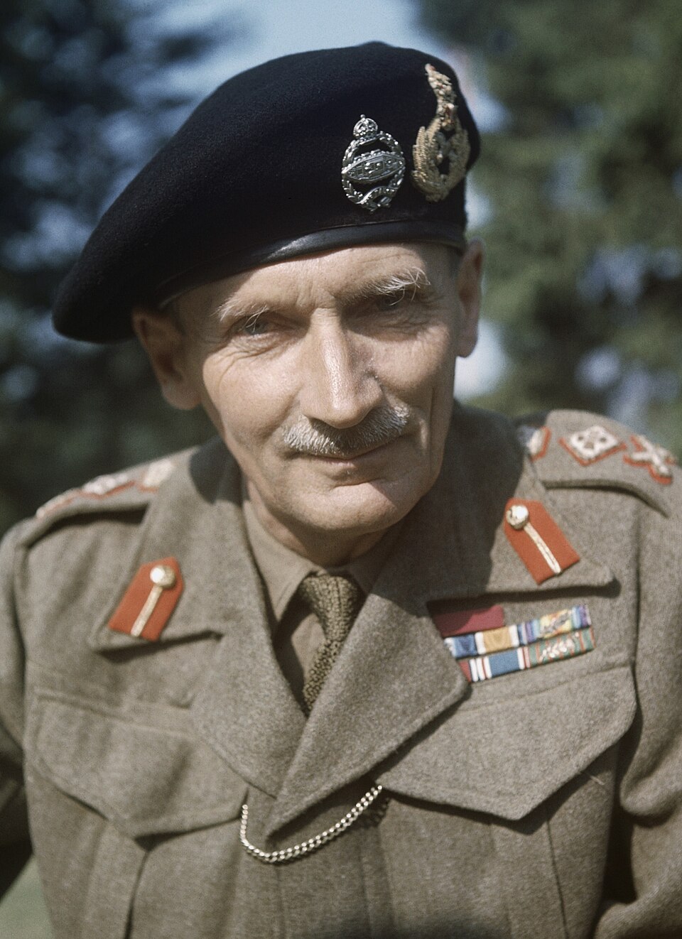 伯纳德·蒙哥马利（Bernard Montgomery）